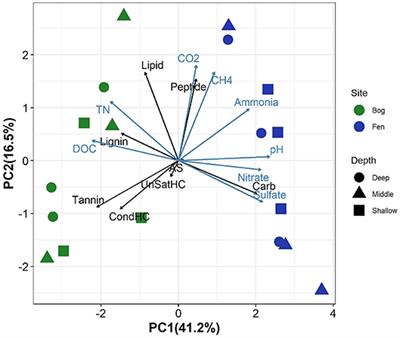 Controls on Soil Organic Matter Degradation and Subsequent Greenhouse Gas Emissions Across a Permafrost Thaw Gradient in Northern Sweden